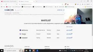 Crypto ICO's (initial coin offerings)