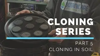 CLONING SERIES - PART 5 - CLONING IN SOIL - WATCH THIS BEFORE YOU CLONE IN SOIL