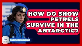 How Do Snow Petrels Survive In The Antarctic? - Polar Regions Uncovered