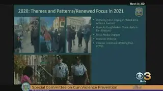 Philadelphia Committee On Gun Violence Prevention Holds Virtual Hearing To Address City&rsquo;s Gun Violen