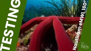 TEST | Nauticam eMWL 160&deg; - Uli Kunz