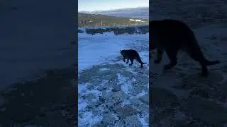 Samotnia KOT!