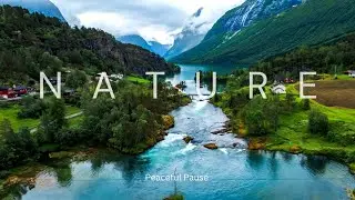 PEACEFUL PAUSE | CALM AND NATURE | Where Minds Rest