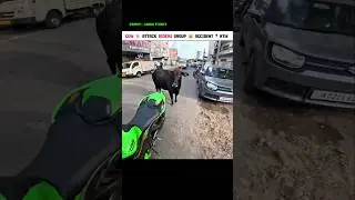 Cow🐮Attack Me And My Superbike Zx10r 😅 || Jannu Stuntz Par Cow Attack #shorts #rider #motovlog