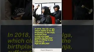a ninja shortage | Digest Magazine