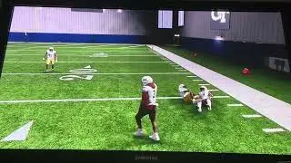 How To Run The Triple Option On College Football 26