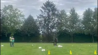 Lilo's 100 Punkte Lauf, Rally Obedience Beginner