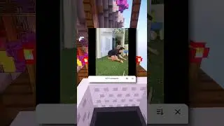Это несколько забавных скриншотов из TikTok.