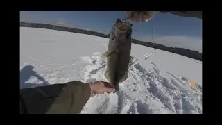POV Ice Fishing for Bass | Massachusetts