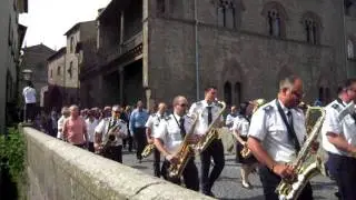 Facchini di Santa Rosa - Viterbo 2011 - 1