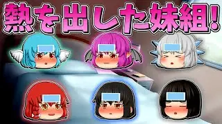 【ゆっくり茶番】熱を出した妹組