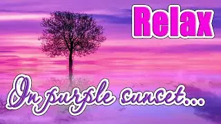 Relax in the lilac sunset...