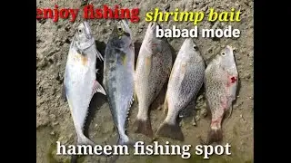 Hameem fishing  spot abu dhabi