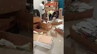 flower Logistics 1  #flowers #africancapital #africancity #florist  #rose  #wholesale #bouquet