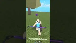 I Bought the Fruit Notifier in Blox Fruits...