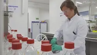 Pfizer testing COVID-19 pill as preventive treatment