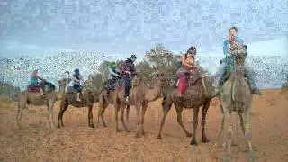 Camel Trekking merzouga,Camel Trekking in morocco,Camel Trekking,Camel Trekking sahara,