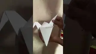 My first flapping Bird 🕊️#origami#flapping Bird