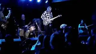 Robyn Hitchcock - Insanely Jealous (live)