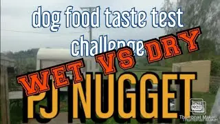 Dry vs Wet dog food taste test Video
