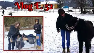 AnKa's Pferde Vlog 52 | Stall ausmisten | Pferde entwurmen | S&auml;ttel einfetten| Q & A➡️ Frage-Runde 1