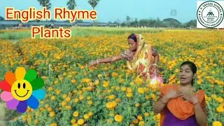 English Rhyme Plants || Firefly book rhyme || easy rhyme on the topic plants