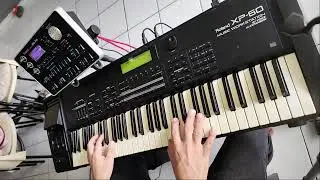 🎹 Roland BK-7m &ndash; O m&oacute;dulo arranjador perfeito para uso ao vivo!