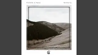 Into the Forest