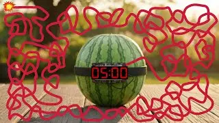 5 Minute Timer Bomb | ULTIMATE Watermelon EXPLOSION Countdown🍉💣
