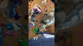 V7 North Mass IN #climbing #rockclimbing #bouldering #fitness #gym #v7 #indianapolis #shorts