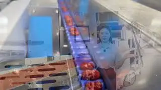 Red jujube sorting, VSEE red date grading machine.