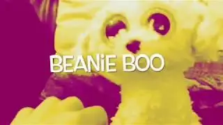 Beanie boo rap