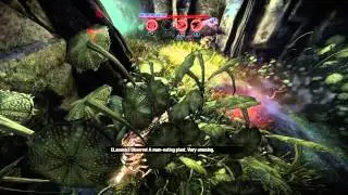 Evolve Voodoo Wraith