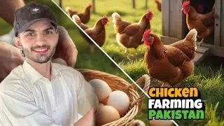 How to Start a Chicken Farm in Pakistan 🇵🇰