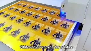 The whole printing process on the phone cover by our UV printer  9060 size with I3200 print head