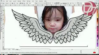 Baby Angel Cherub Vector Process