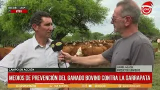 Micro Campo en Acción - La lucha contra las garrapatas