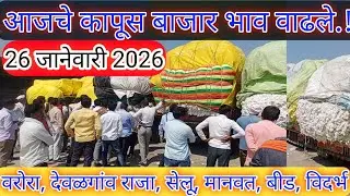 ⭕26 जानेवारी 2026 | कापूस बाजार भाव आजचे|kapus bajar bhav today| cottan rate today