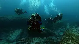 Awesome Boat Diving Apartments Cuttlefish Schooling Fish 30m Viz Sydney Best Scuba Dive Site