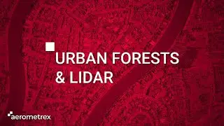 Urban Tree Canopy and Vegetation Management with Aerometrex LiDAR