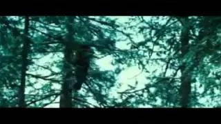 Twilight - Muse - Supermassive Black Hole.flv