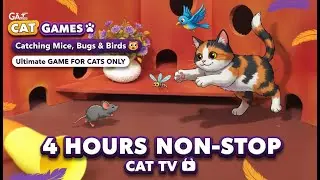 CAT Games | Ultimate Cat TV Compilation   Fast Moving Lizards, Frogs & Real Mouse HOURS 🐝🐞🦋🦎🦜🐜🐭🧵