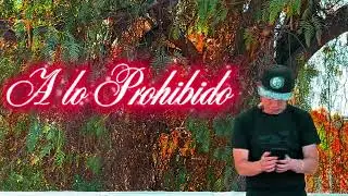 A Lo Prohibido - Tomy Rauw (VIDEO OFICIAL)