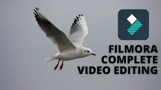 Filmora Complete Video Editing Course (in Urdu/Hindi)