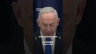 Netanyahu warns Palestinian state would threaten &lsquo;Israel&rsquo;s&rsquo; existence