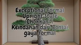 Keindahan dari Bonsai gaya formal || Exceptional Formal Upright Style (Chokkan)