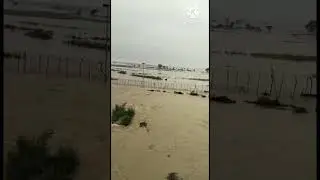 India pakistan border Flood punjab border #punjab #borderlands #viral #shortsfeed #shortvideo