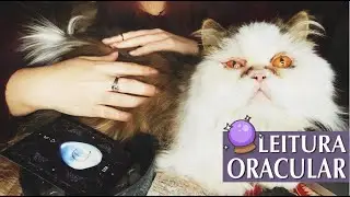 🔮 DICAS DE BEM-ESTAR E LEITURA ORACULAR! | Tyta Montrase
