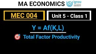 MEC 004 | Unit 5 class 1  | Total factor productivity and growth accounting  | Ma Economics