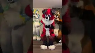 Fursuit Dance ! #furry #furries #furrys #furrytrash #fursuit #fursuitdance #fursuiter #fursuitmaker